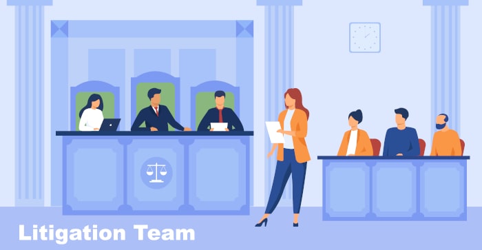 litigation-team