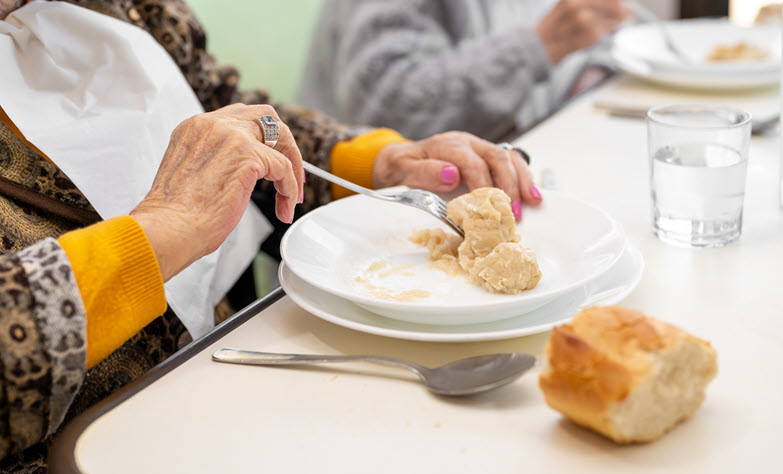 Nursing Home Malnutrition and Dehydration - Tampa FL Nursing Home Malnutrition and Dehydration - Tampa FL